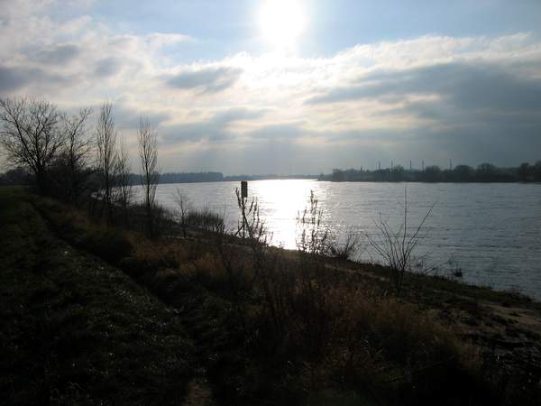 Rhein