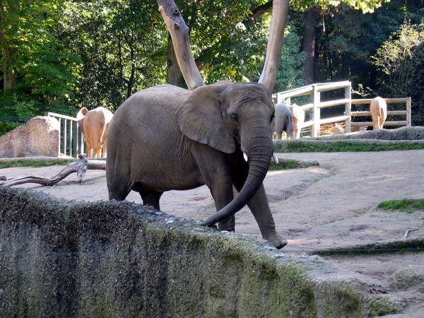 Zoo Wuppertal Fotos
