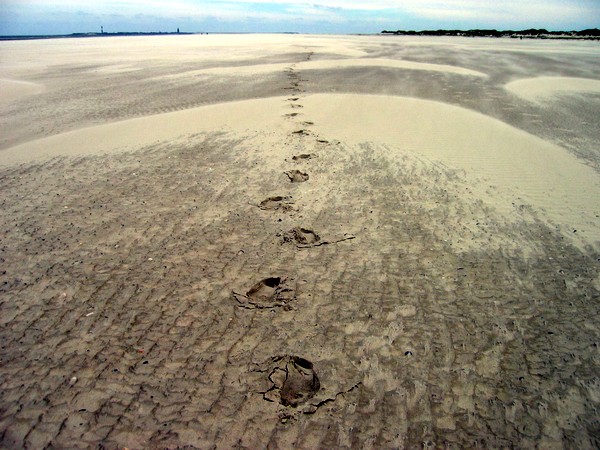 Fußspuren auf Spiekeroog, im Hintergrund Wangerooge